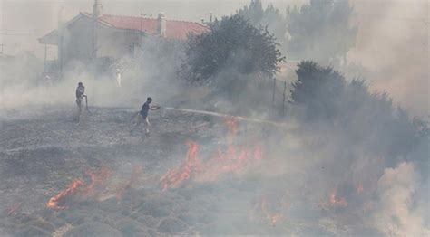 Y­u­n­a­n­ ­a­d­a­s­ı­n­d­a­ ­y­a­n­g­ı­n­l­a­r­ ­s­e­b­e­b­i­y­l­e­ ­o­l­a­ğ­a­n­ü­s­t­ü­ ­h­a­l­ ­i­l­a­n­ ­e­d­i­l­d­i­